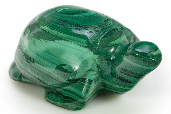Flowery, Malachite Turtle Carving - DR Congo #317782